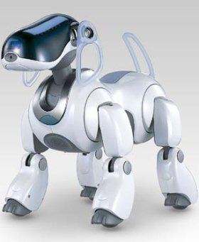 robotdog
